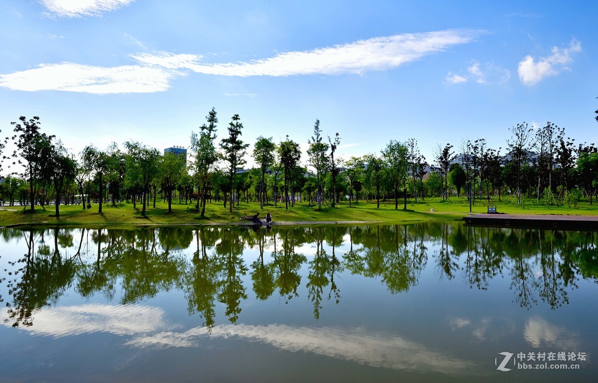 都 市 的 蓝 天