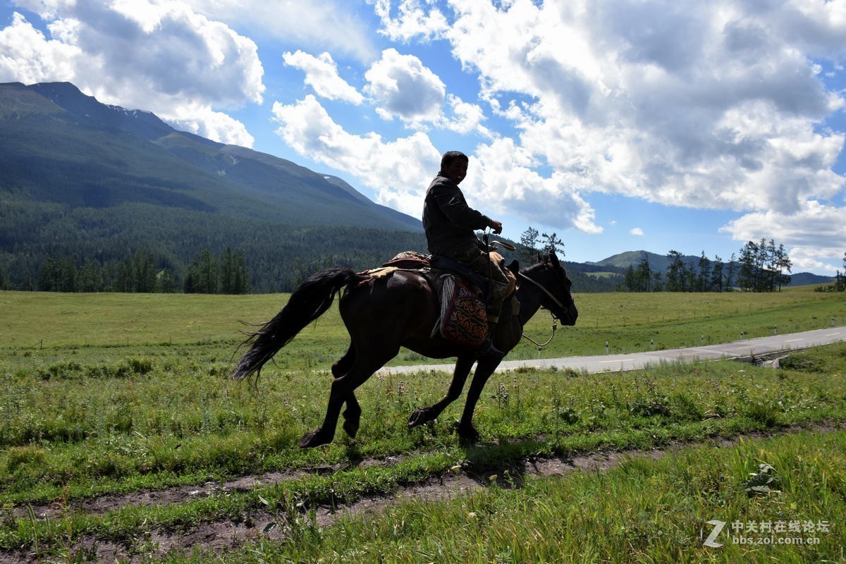 #版主坐堂#2017年8月份《承德》优秀作品选辑
