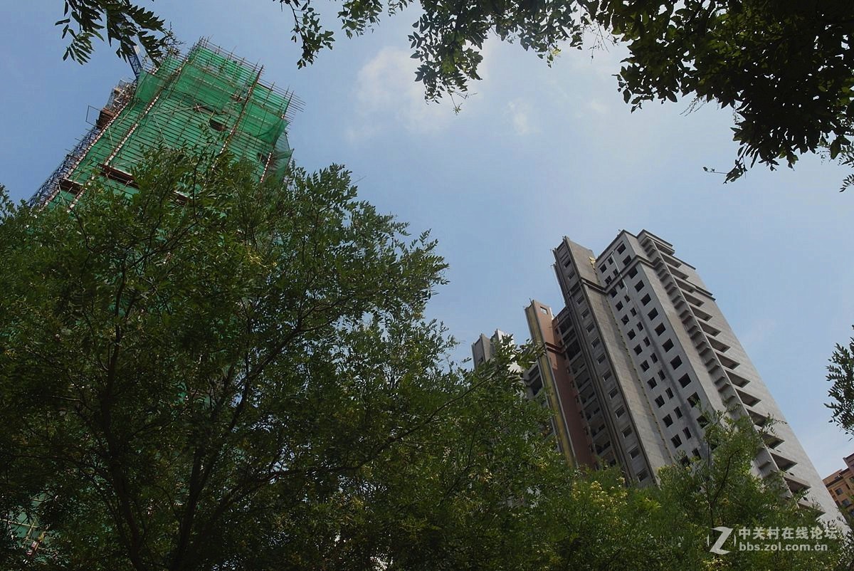 #版主坐堂#2017年8月份《承德》优秀作品选辑