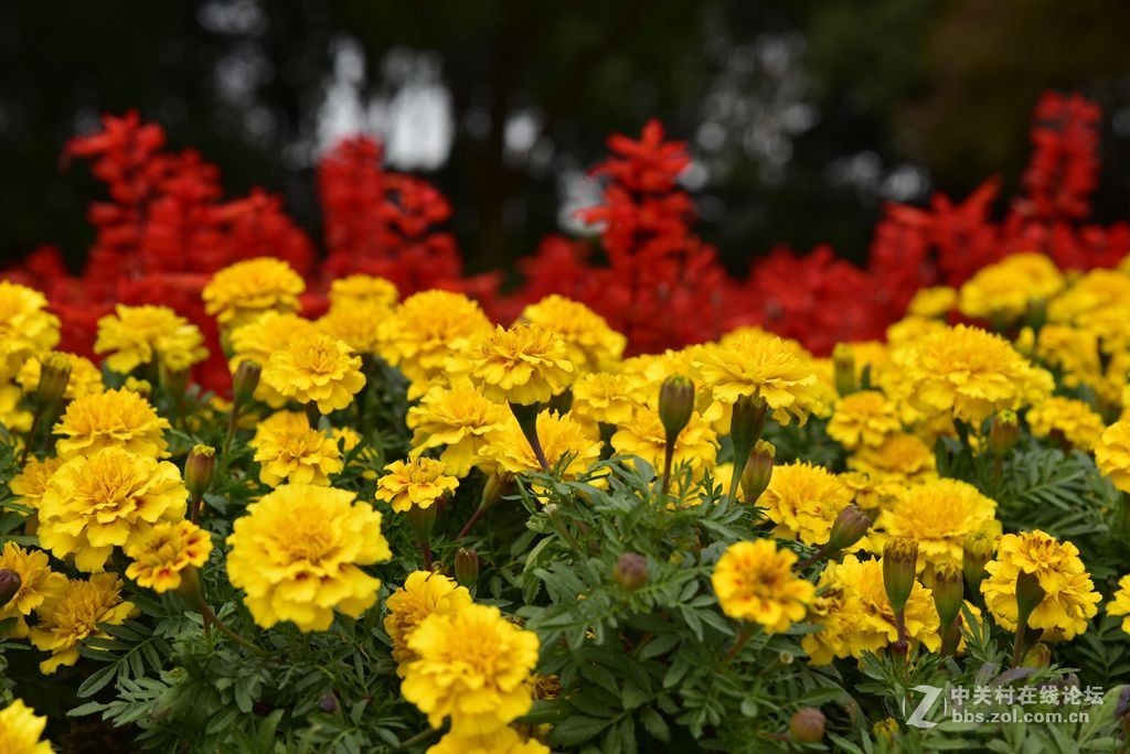 出差路过天目湖