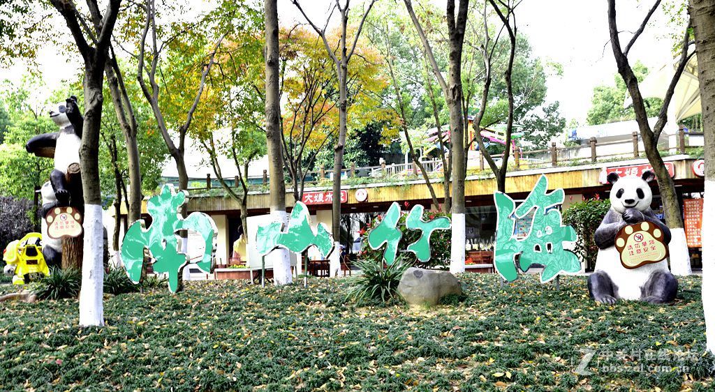 出差路过天目湖