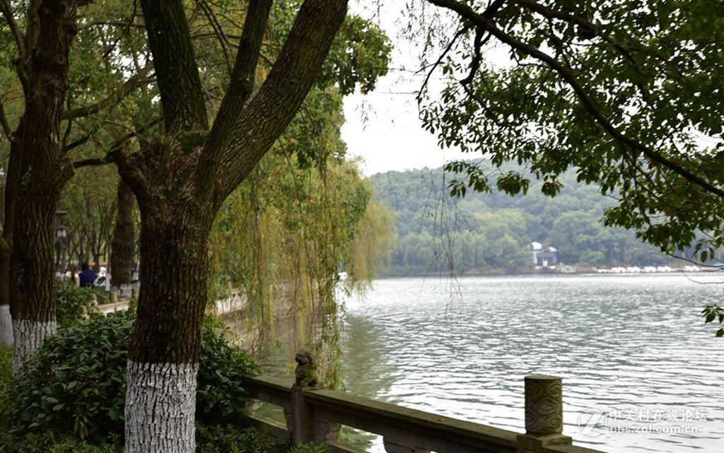出差路过天目湖
