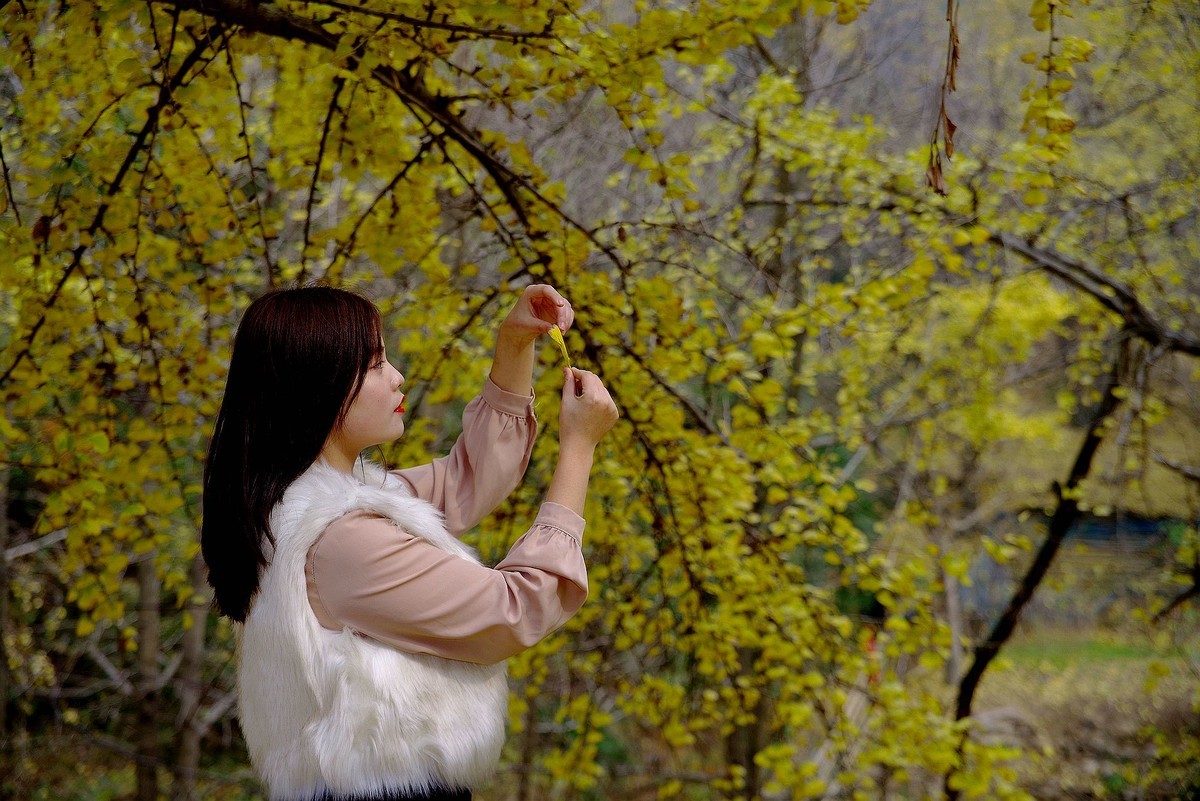 环境人像外拍---银杏树下的快乐女孩！。。。。。。。