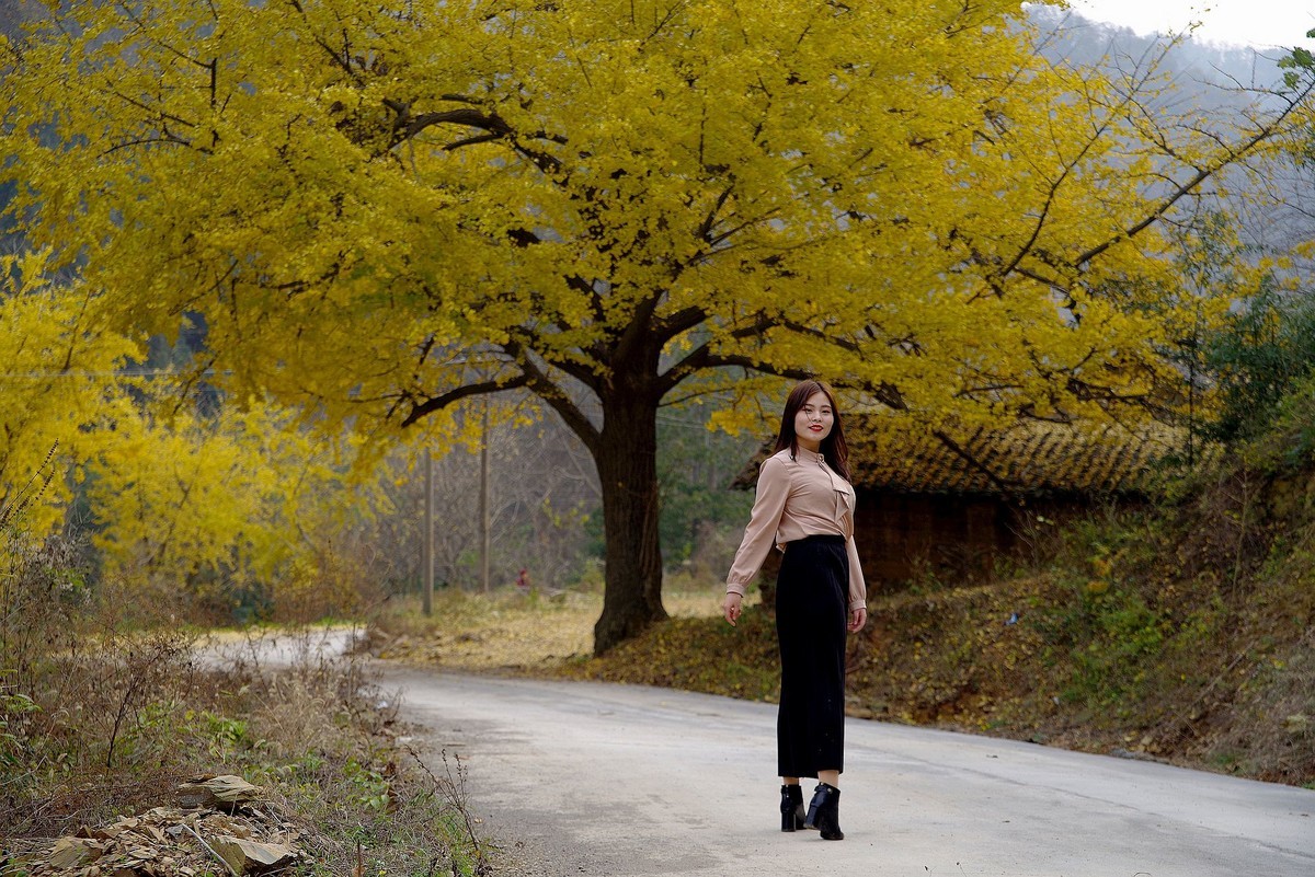 环境人像外拍---银杏树下的快乐女孩！。。。。。。。