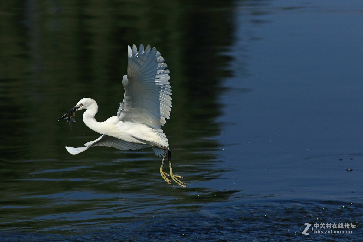 《捕鱼记》——短促出击