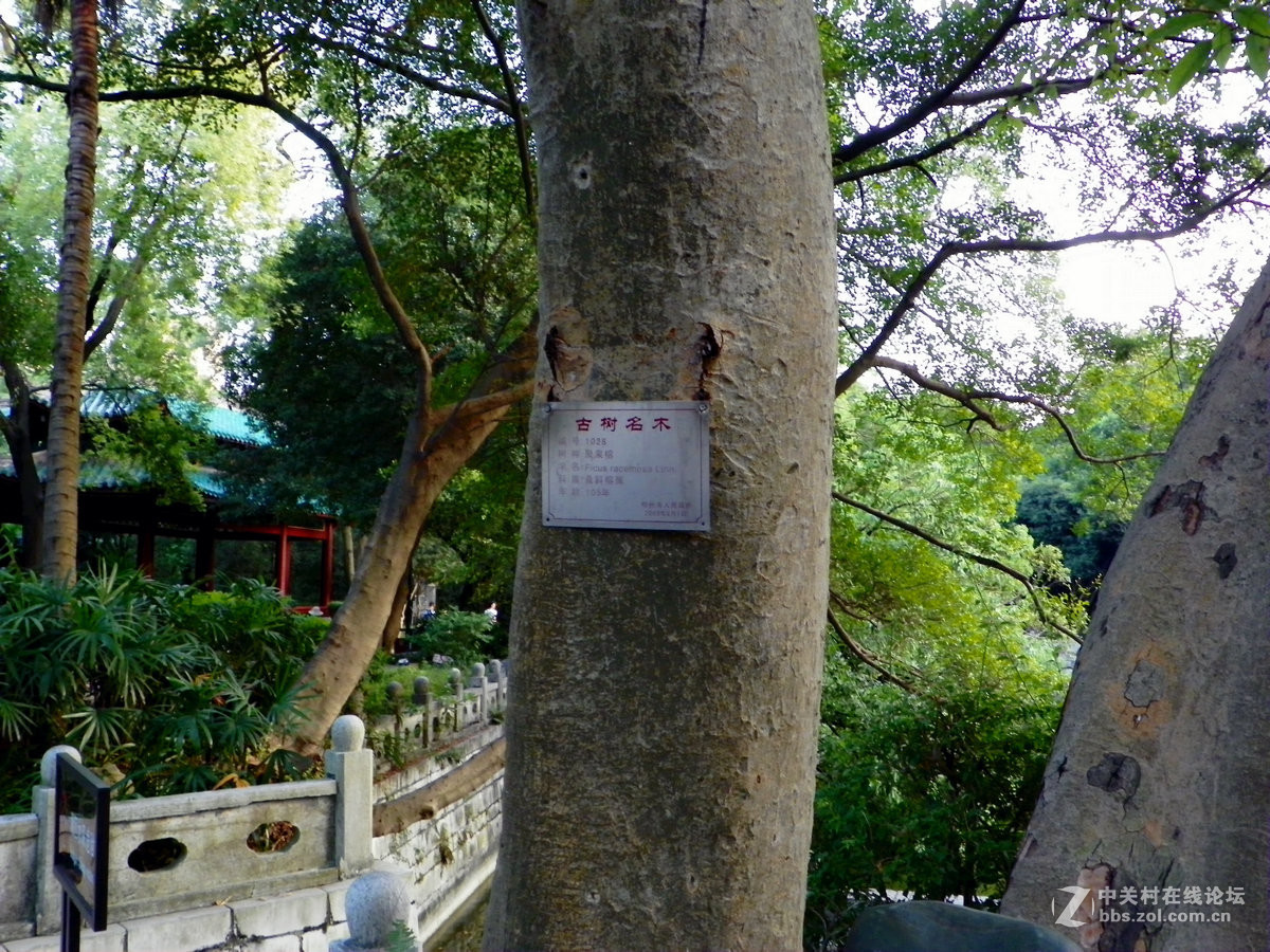 2016国庆（23）柳侯公园