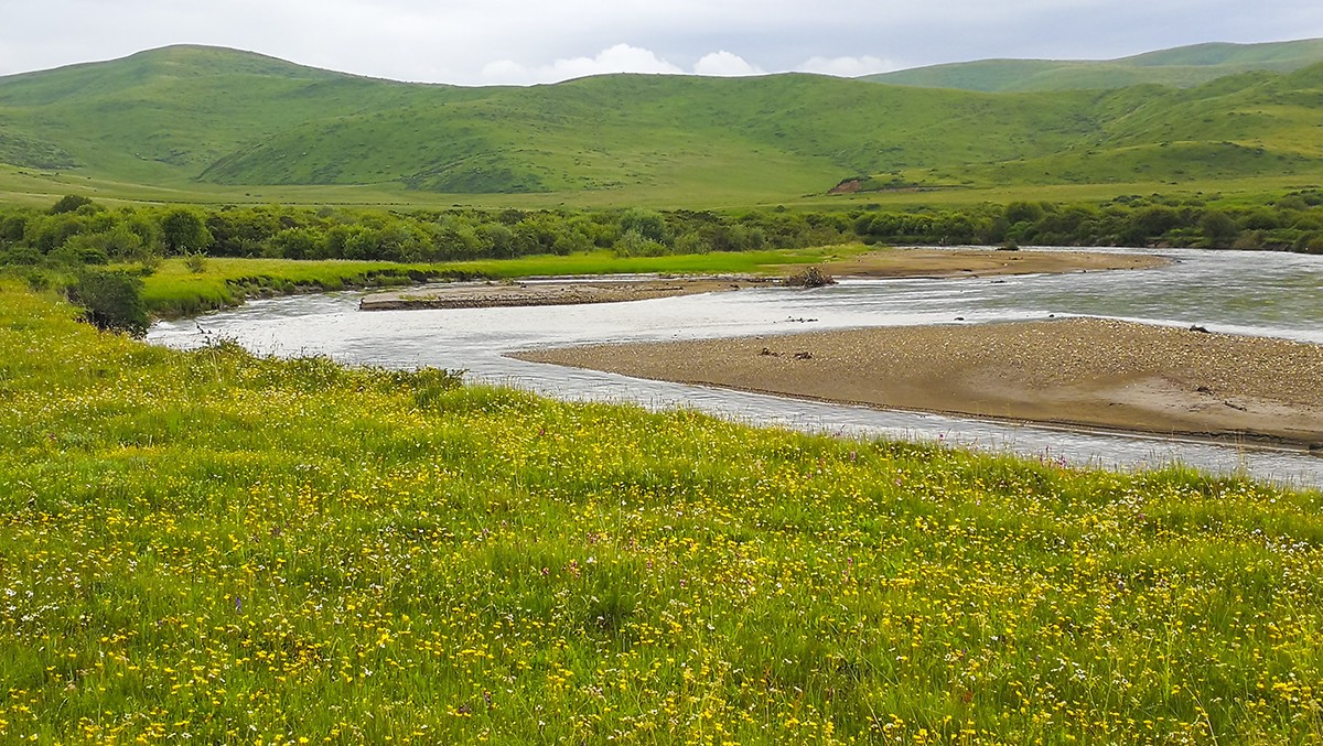 花海草原、九曲黄河——2017川西北、甘南、青海自驾八日（3）
