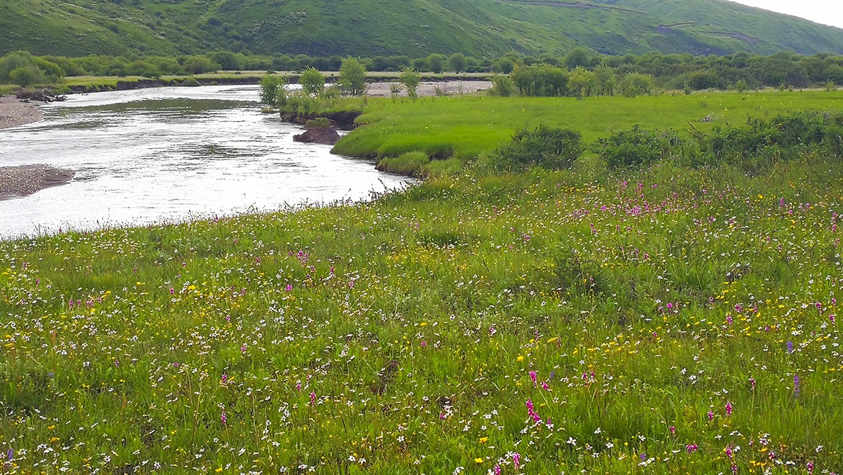 花海草原、九曲黄河——2017川西北、甘南、青海自驾八日（3）