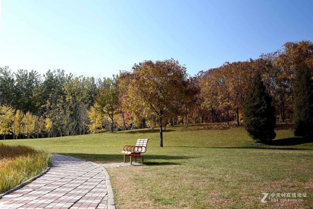 立冬后四德公园的深秋
