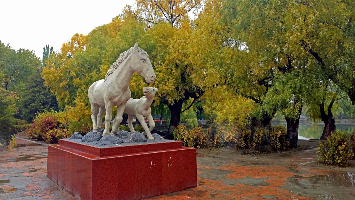 大美内蒙古------ 呼和浩特 : 雨后漫步青城公园