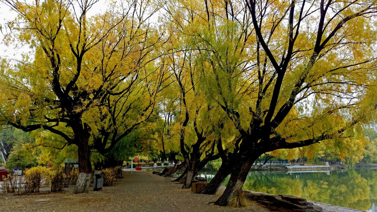 大美内蒙古------ 呼和浩特 : 雨后漫步青城公园