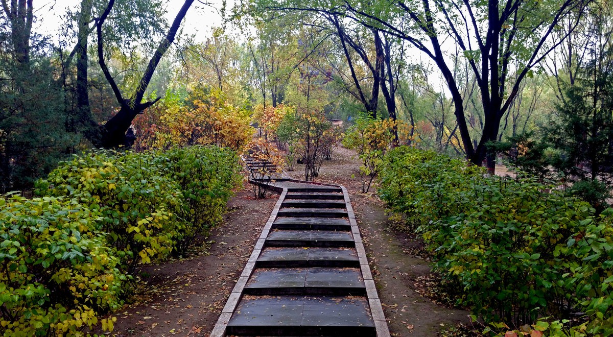大美内蒙古------ 呼和浩特 : 雨后漫步青城公园