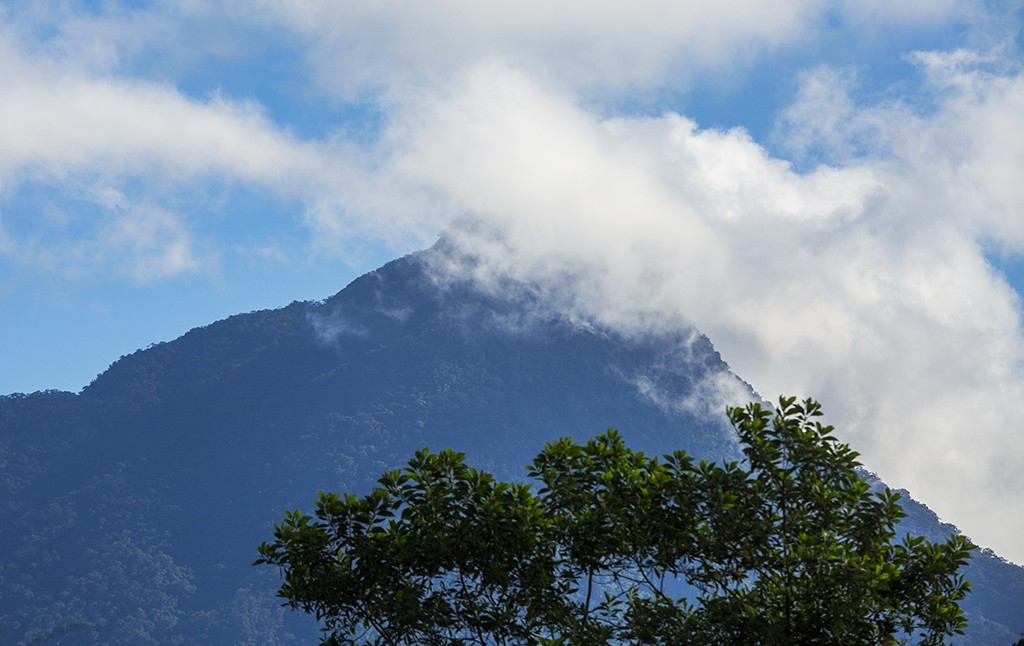 #佳能月赛-行走的印记# 冬天的海南五指山