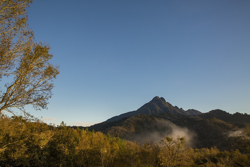 #佳能月赛-行走的印记# 冬天的海南五指山
