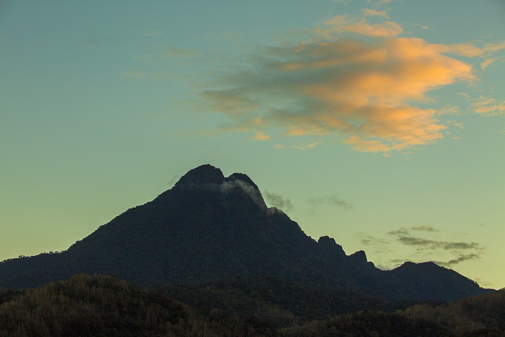 #佳能月赛-行走的印记# 冬天的海南五指山
