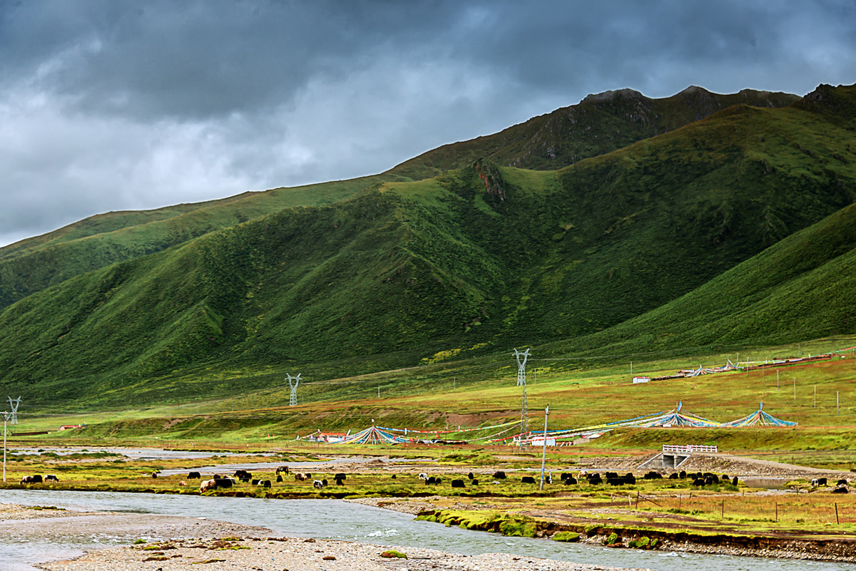西北风光：青海《达日县黄河风情》