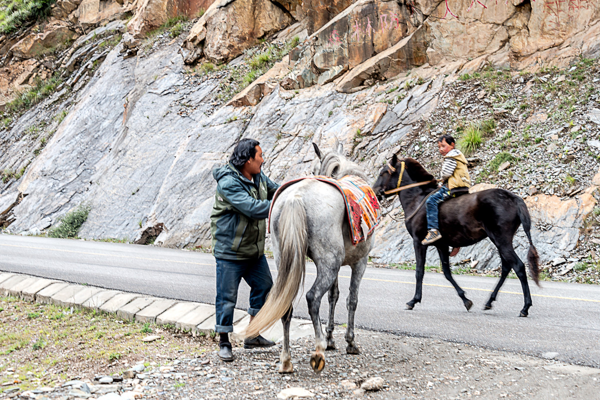 西北风光：青海《达日县黄河风情》