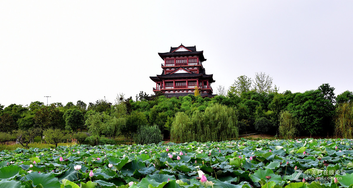 黄冈市遗爱湖公园景色之二