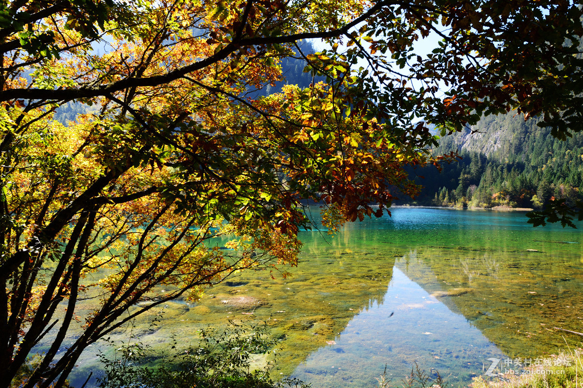 金秋九寨慕游