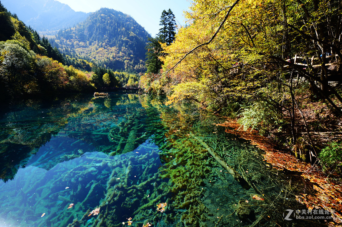 金秋九寨慕游