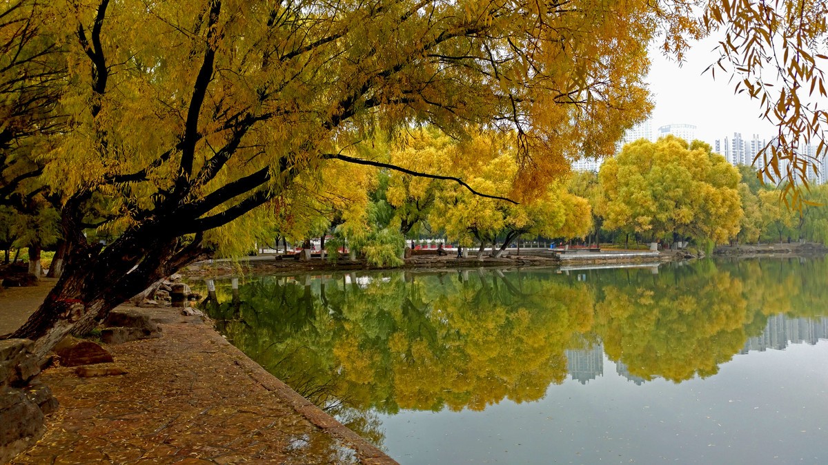 大美内蒙古------ 呼和浩特 : 雨后漫步青城公园