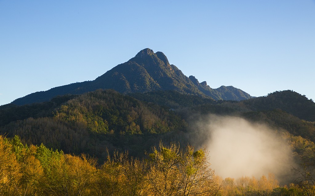 #佳能月赛-行走的印记# 冬天的海南五指山