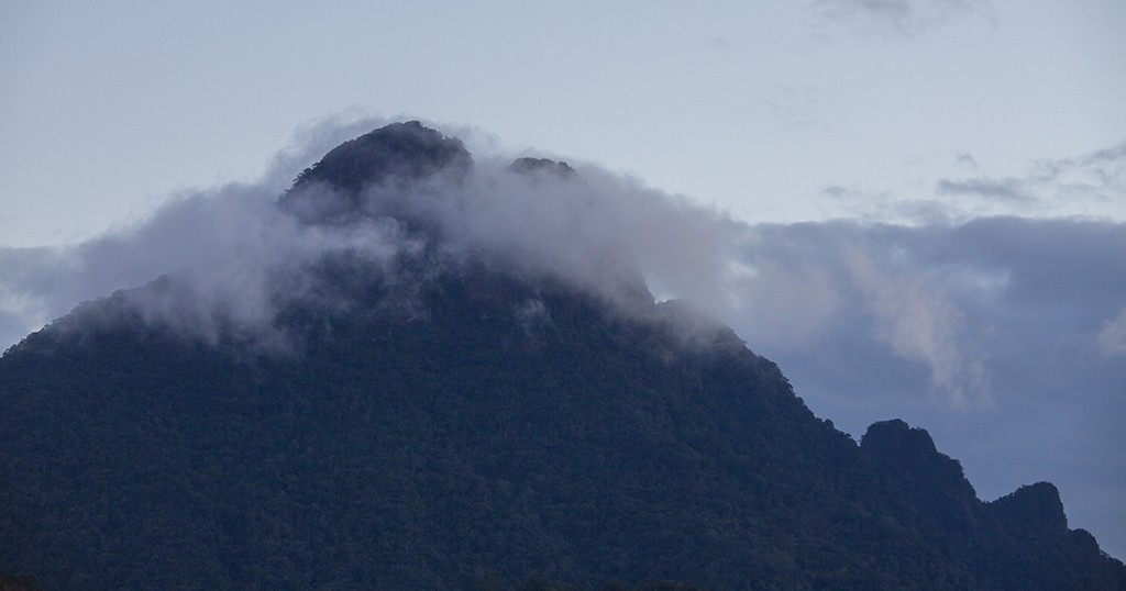 #佳能月赛-行走的印记# 冬天的海南五指山