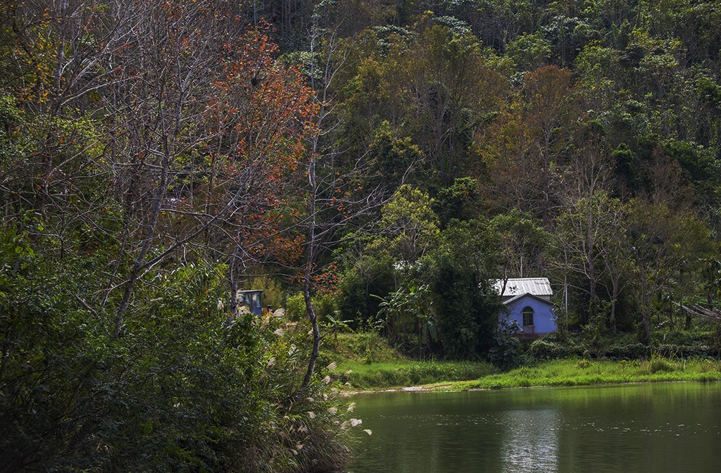 #佳能月赛-行走的印记# 冬天的海南五指山