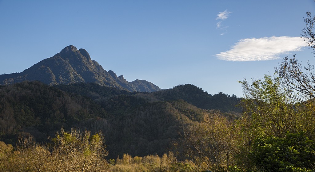 #佳能月赛-行走的印记# 冬天的海南五指山