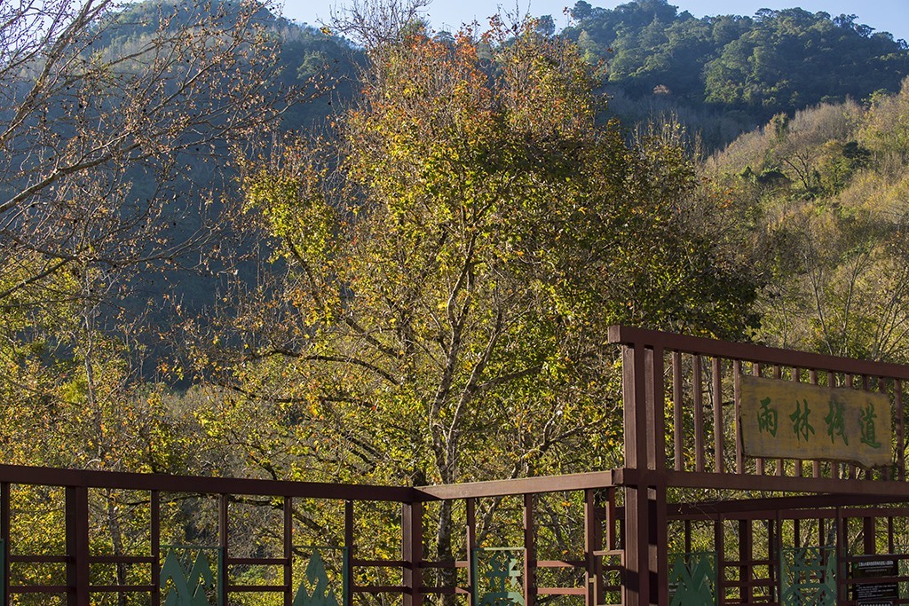 #佳能月赛-行走的印记# 冬天的海南五指山