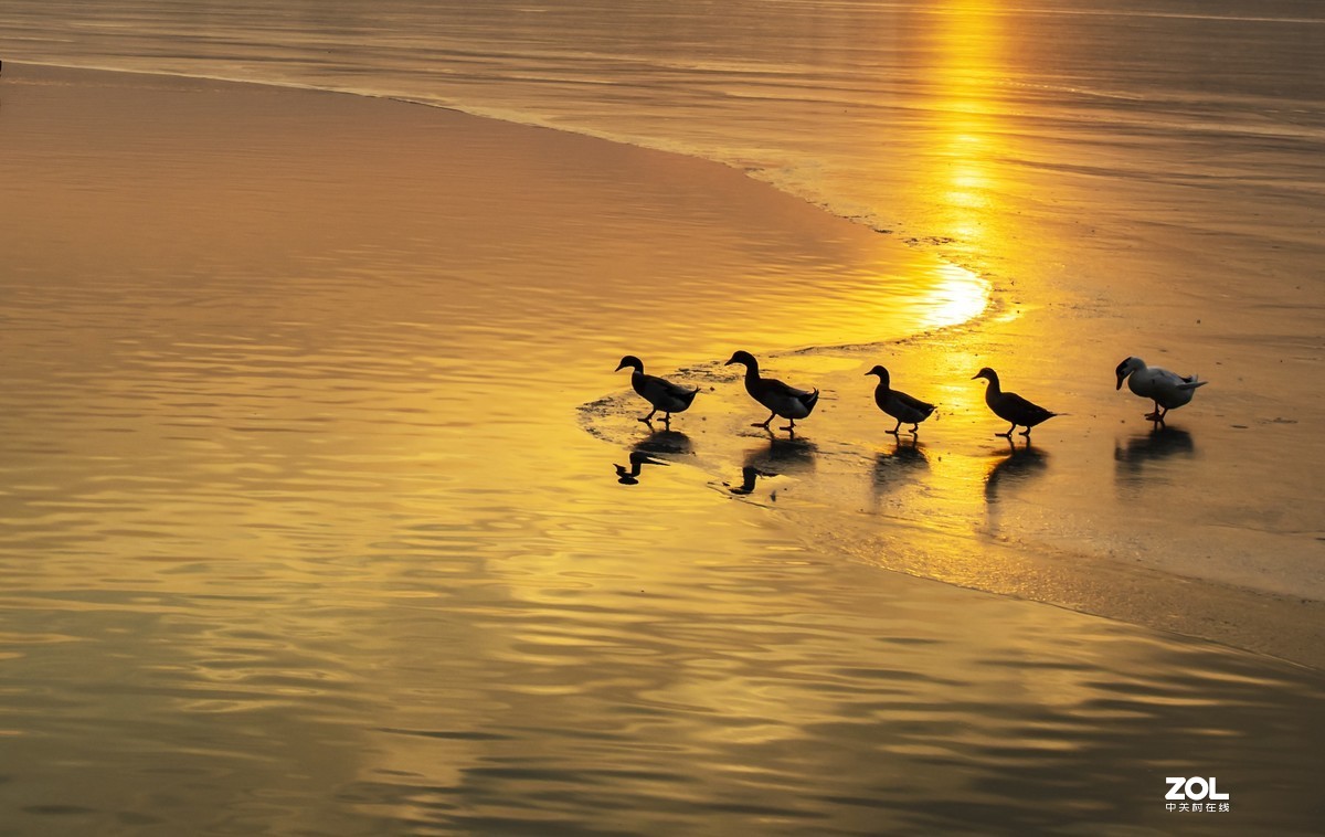 #回顾2019#拍点有温度的照片，感动自己，温暖他人。