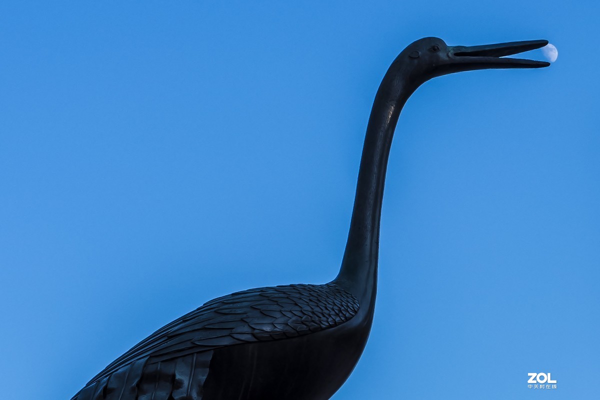 #回顾2019#拍点有温度的照片，感动自己，温暖他人。