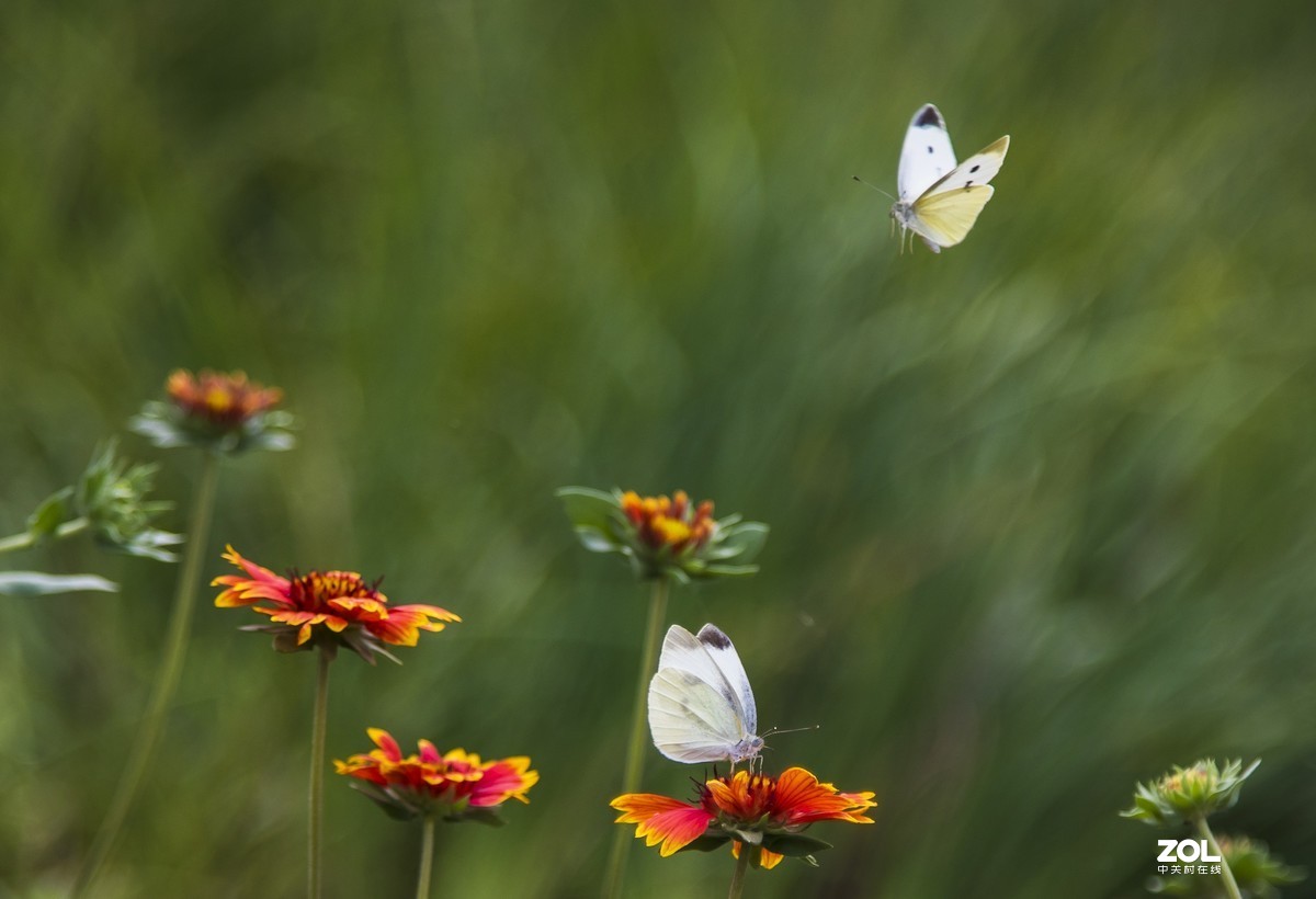 #回顾2019#拍点有温度的照片，感动自己，温暖他人。