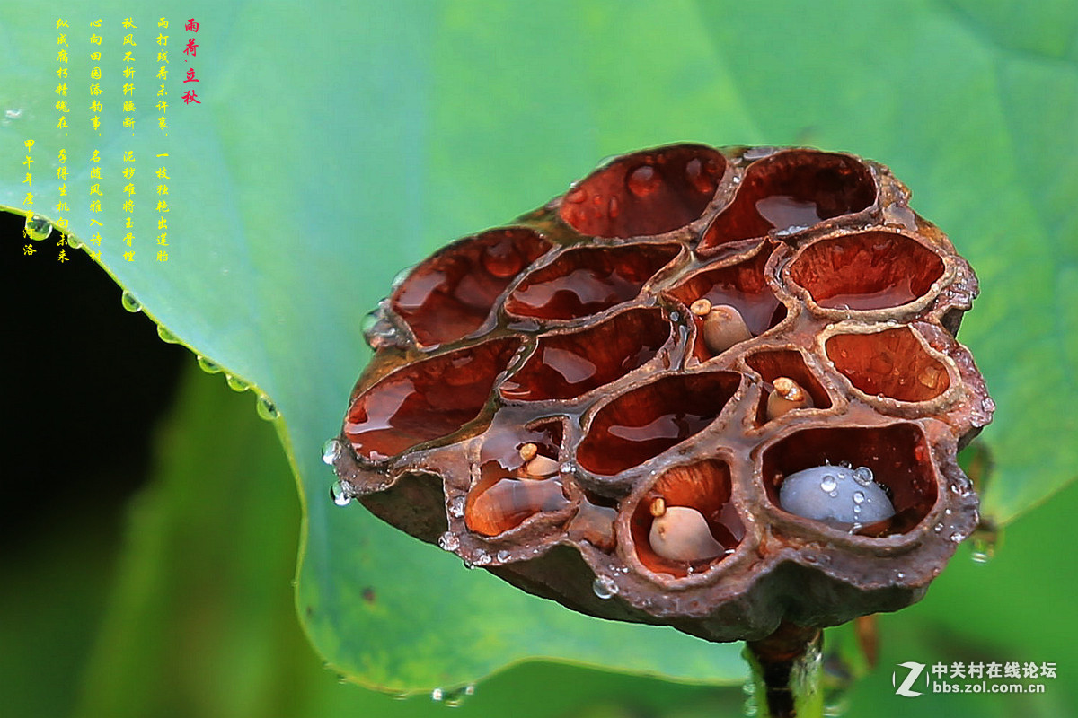 #版主坐堂#  2015年9月《佳能EF 16-35mm f/2.8L II USM镜头》星空(中国)优秀作品选编