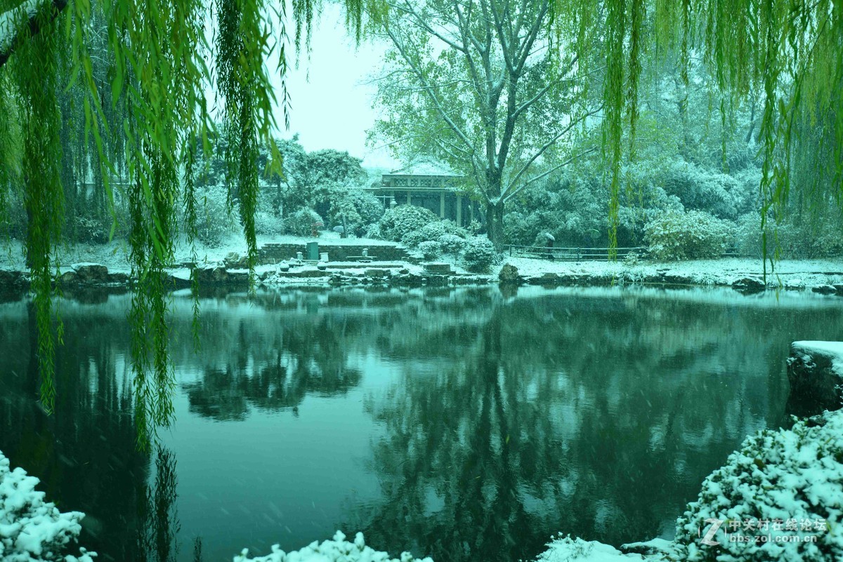 北京——雪中紫竹院
