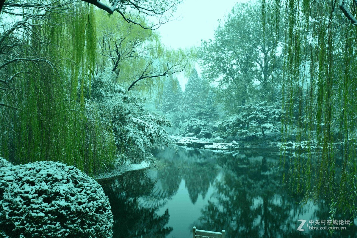 北京——雪中紫竹院