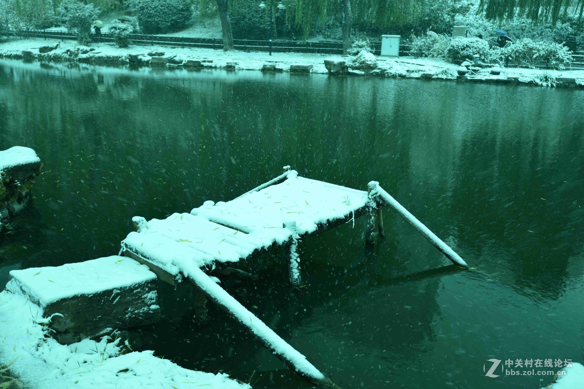 北京——雪中紫竹院