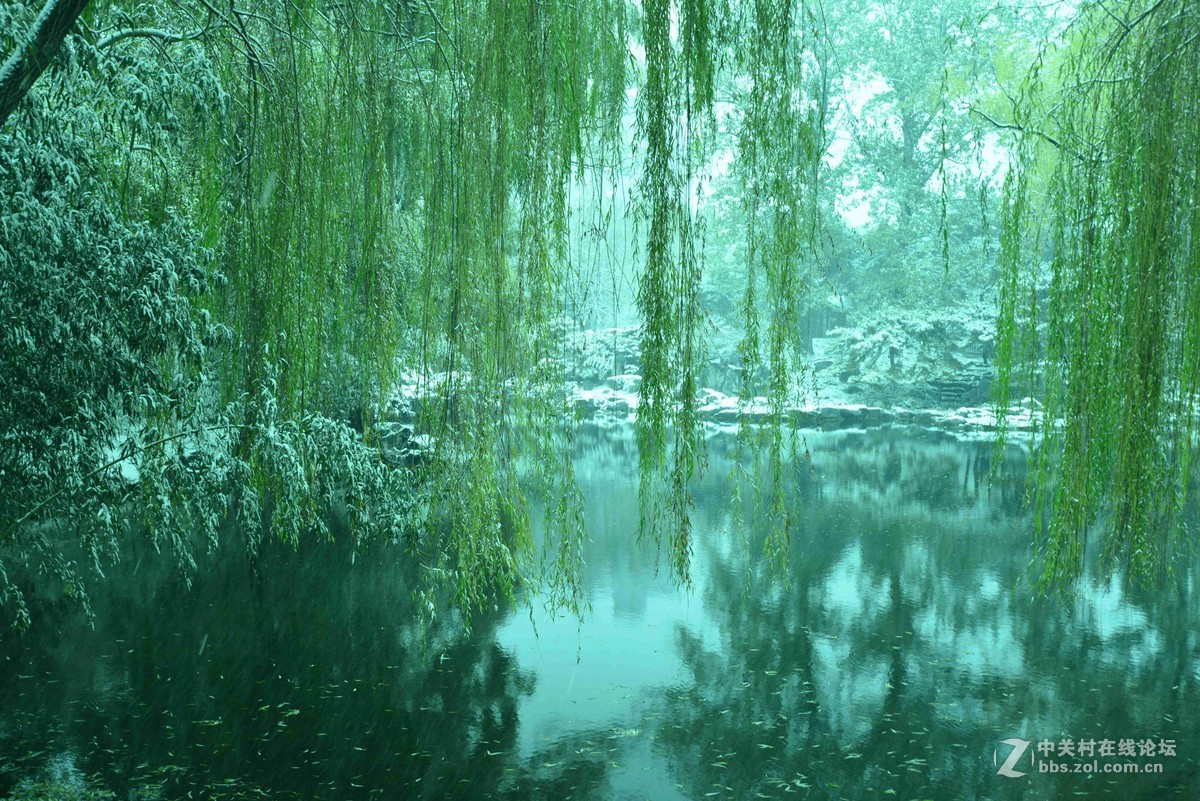 北京——雪中紫竹院