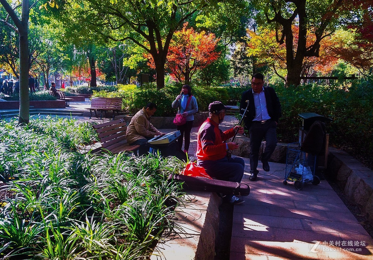 一组公园人物手机杂拍