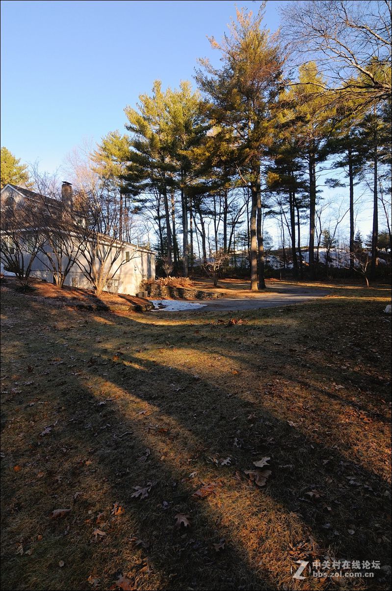 休闲随拍（359）