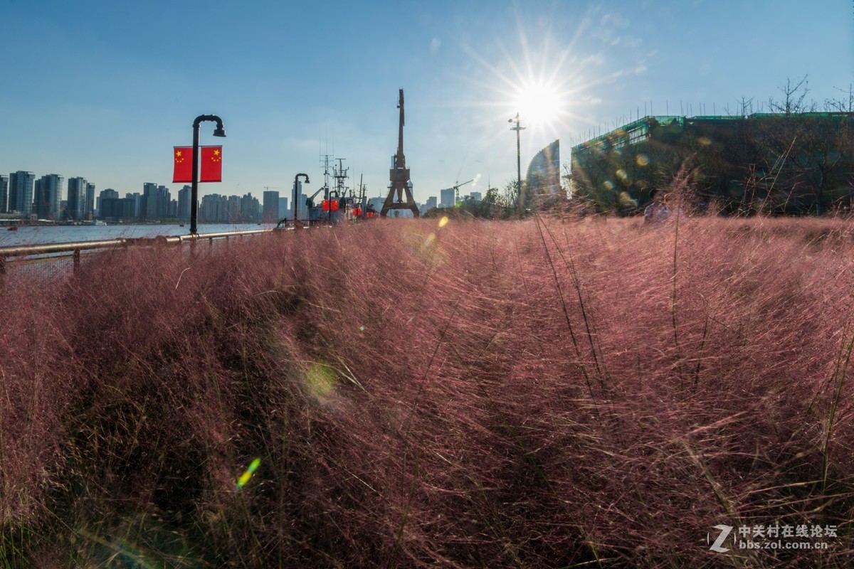 杨浦滨江的顺光逆光