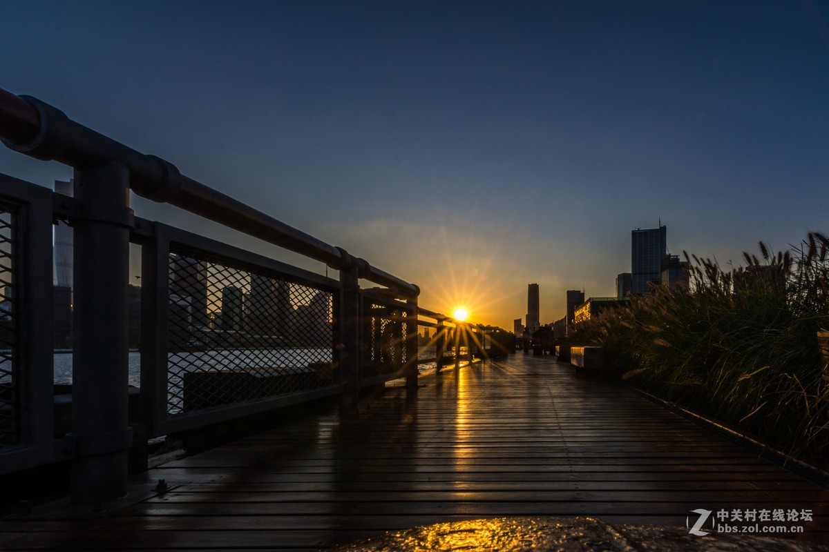 杨浦滨江的顺光逆光