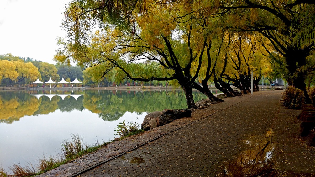 大美内蒙古------ 呼和浩特 : 雨后漫步青城公园