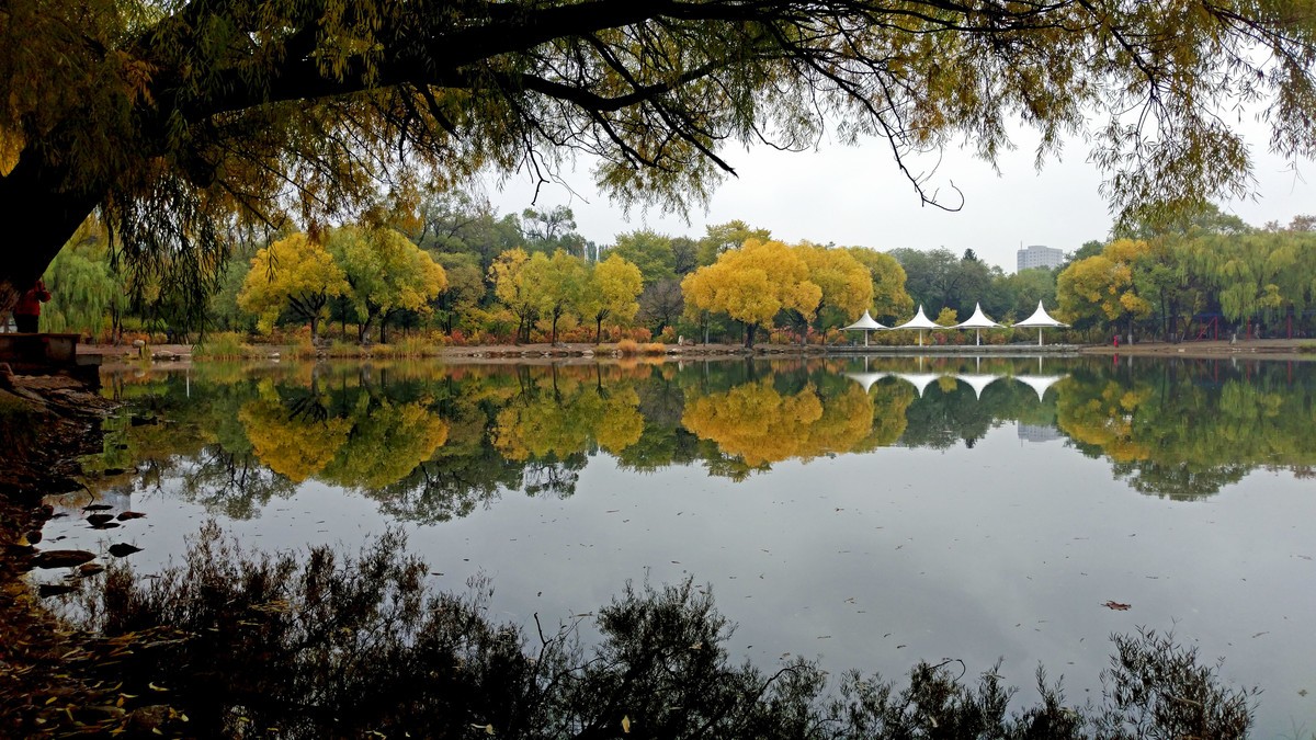 大美内蒙古------ 呼和浩特 : 雨后漫步青城公园