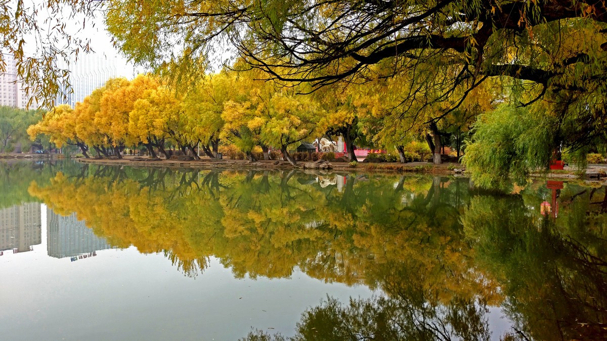 大美内蒙古------ 呼和浩特 : 雨后漫步青城公园