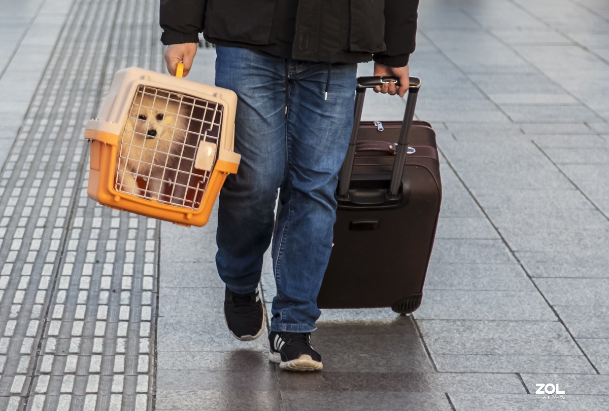 #回顾2019#拍点有温度的照片，感动自己，温暖他人。