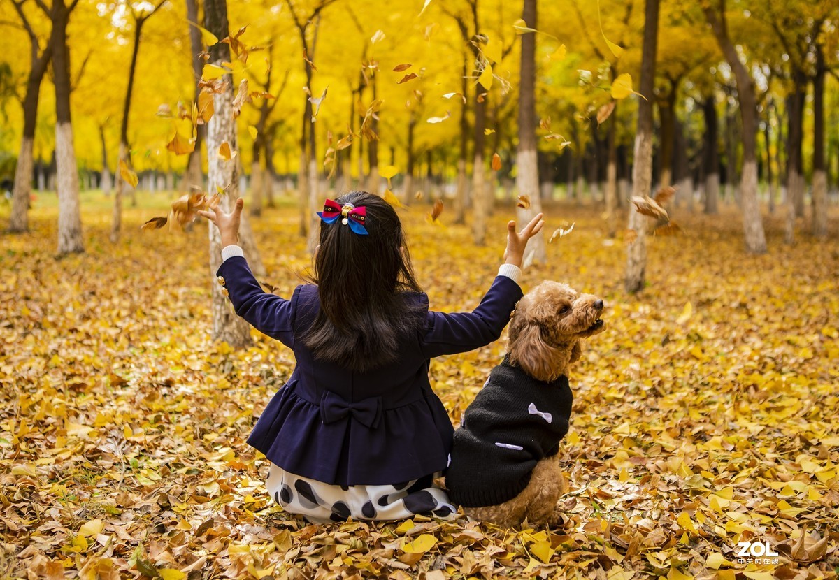 #回顾2019#拍点有温度的照片，感动自己，温暖他人。