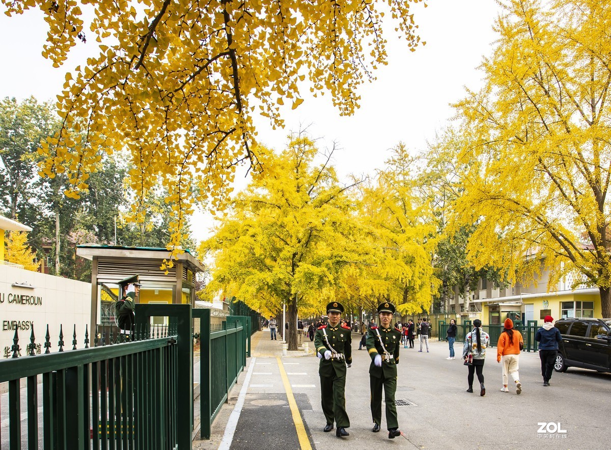 #回顾2019#拍点有温度的照片，感动自己，温暖他人。