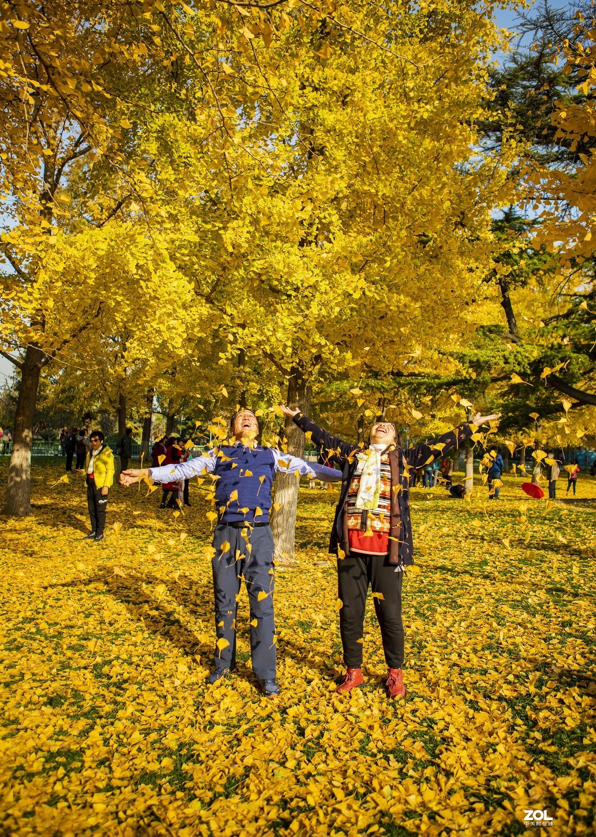 #回顾2019#拍点有温度的照片，感动自己，温暖他人。