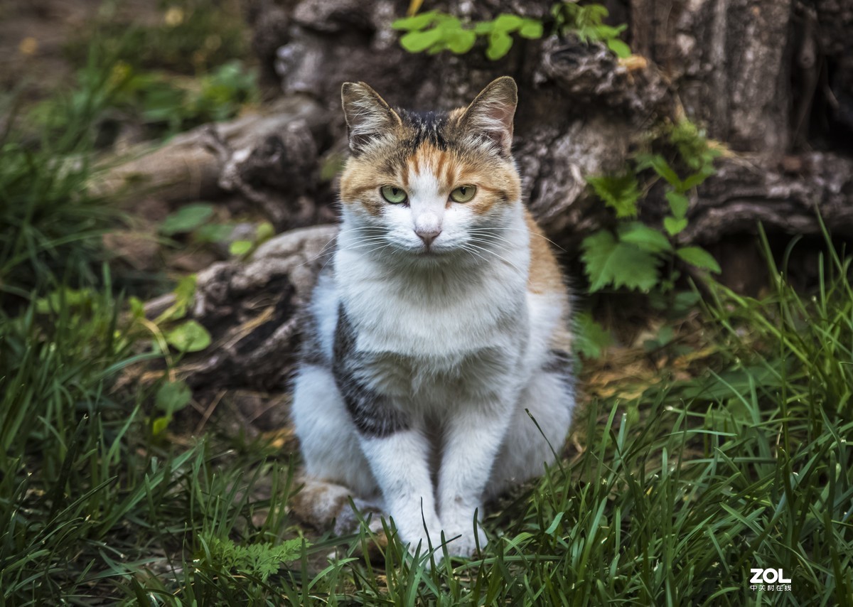 #回顾2019#拍点有温度的照片，感动自己，温暖他人。